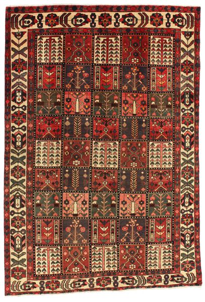 Bakhtiari - Garden