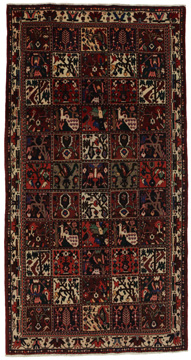 Килим Bakhtiari Garden 300x156
